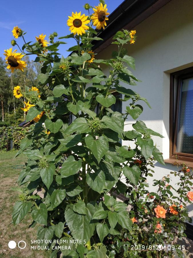 Pokoje Goscinne " Przysiolek" Charnowo  Exterior photo